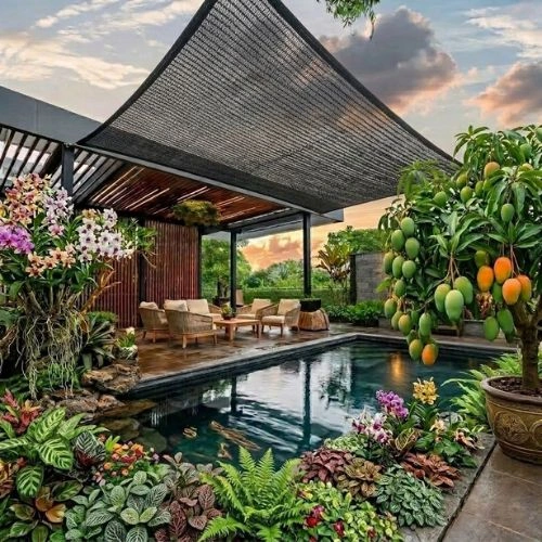 Butuh Paranet Siap Pakai? Hubungi Toko Berkah Sentosa