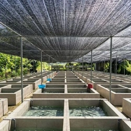 Butuh Jaring Paranet? Hubungi Toko Berkah Sentosa